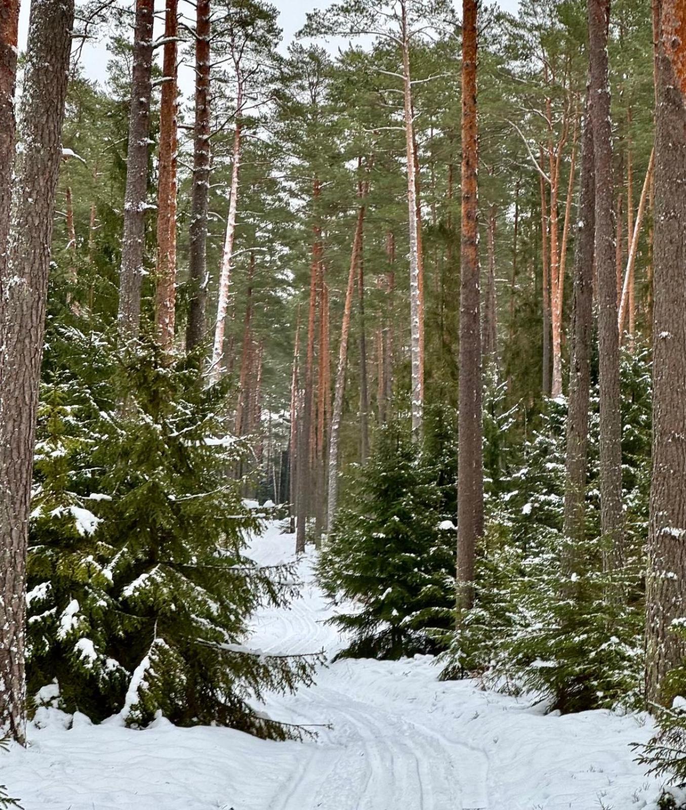 Mazurska Sarenka Villa Wiartel Exteriör bild